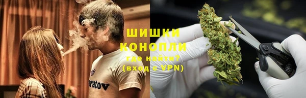 spice Ельня