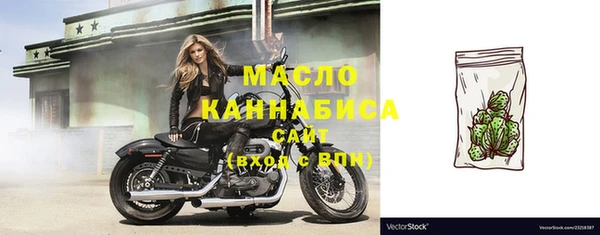 spice Ельня