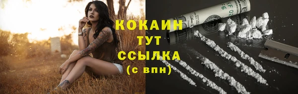 spice Ельня