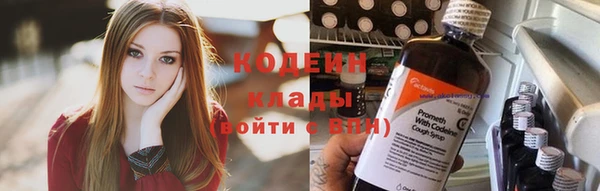 spice Ельня