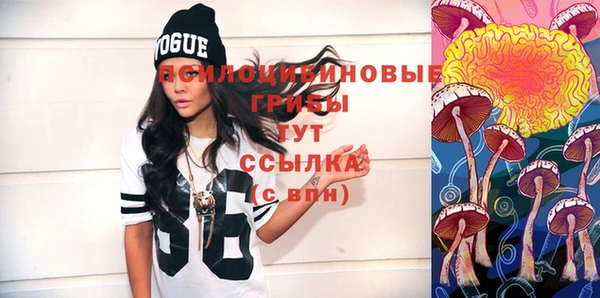spice Ельня