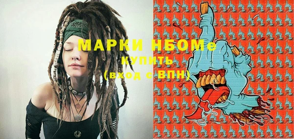 spice Ельня