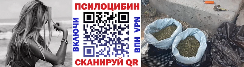 Купить закладки  Ростов  Псилоцибиновые грибы мухоморы 